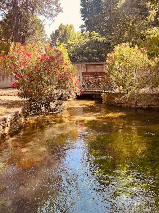 Appartement Fontaine De Vaucluse Экстерьер фото
